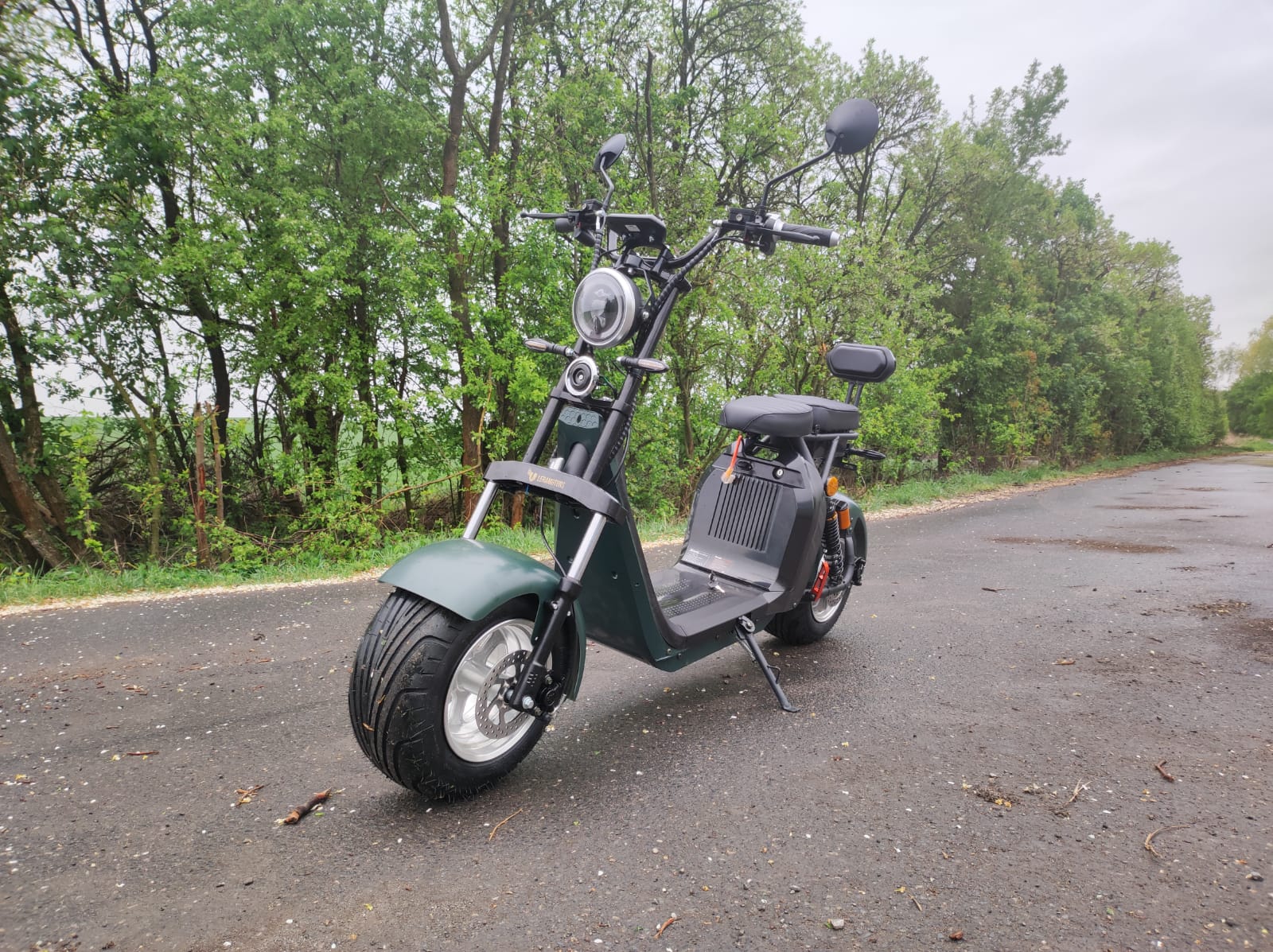 Elektrická koloběžka Lera Scooters C2 2000W zelená